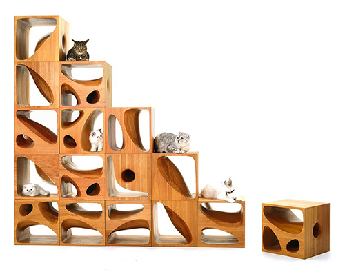 خلاقیت در طراحی مکعب های چوبی / محلی برای تفریح گربه ها