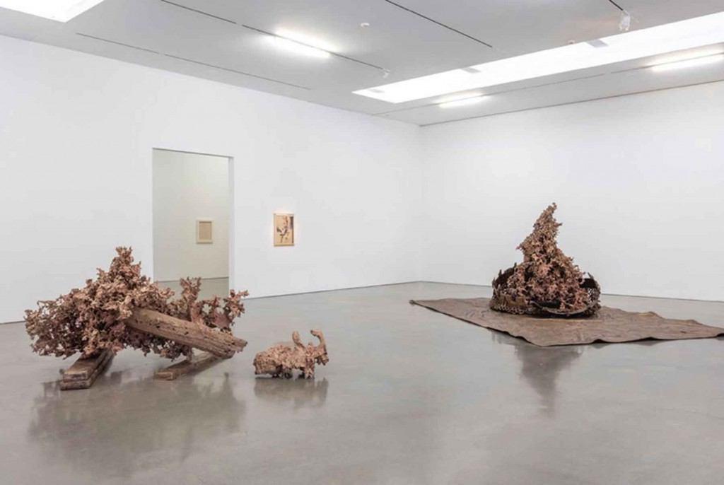نمایشگاهی از جدیدترین کارهای متیو بارنی