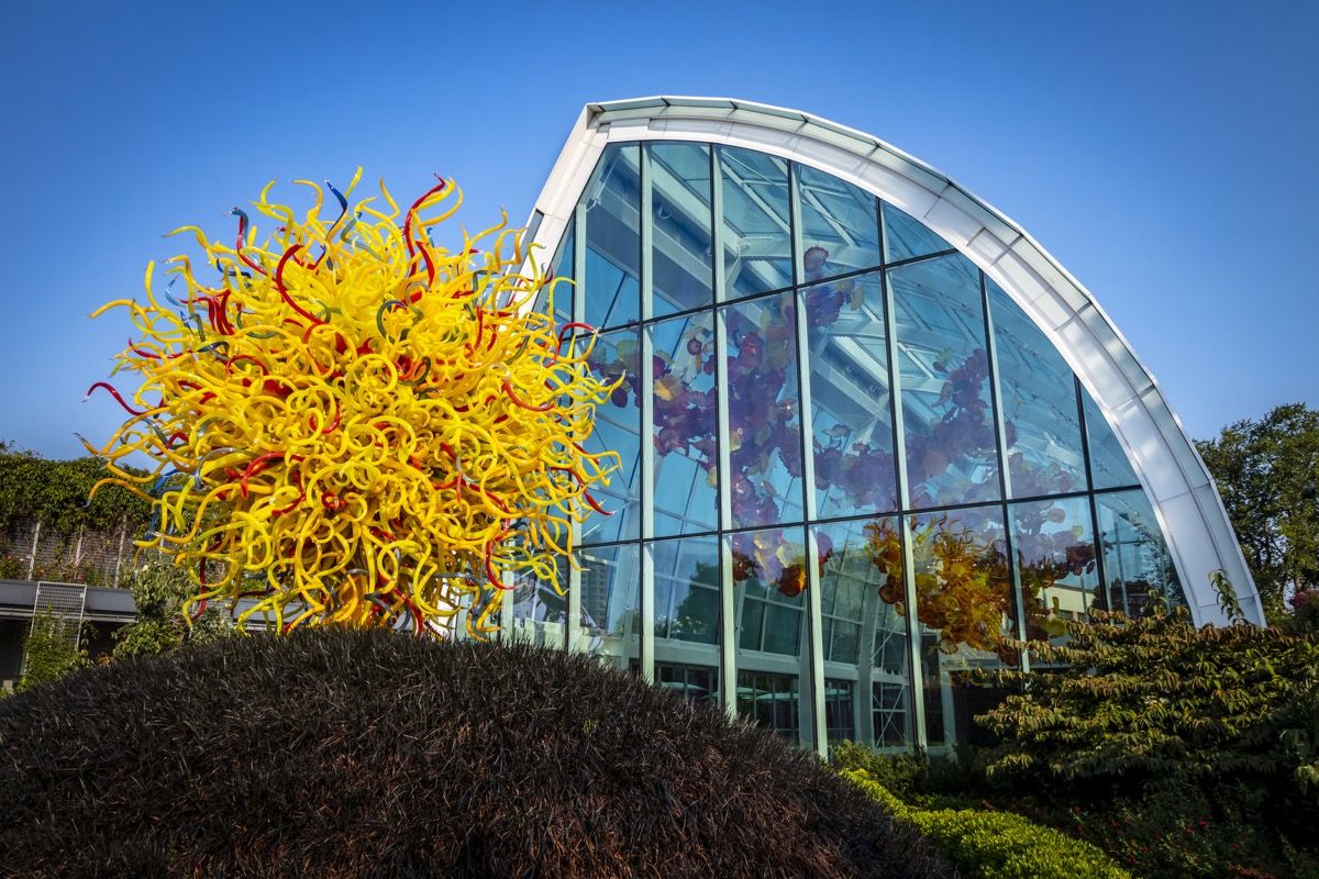 Dale Chihuly, Pioneering Glass Artist and Seattle Icon, Is Building a Major Legacy