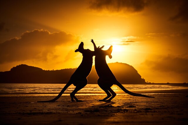 نگاهی به عکس های منتخب از طبیعت استرالیا