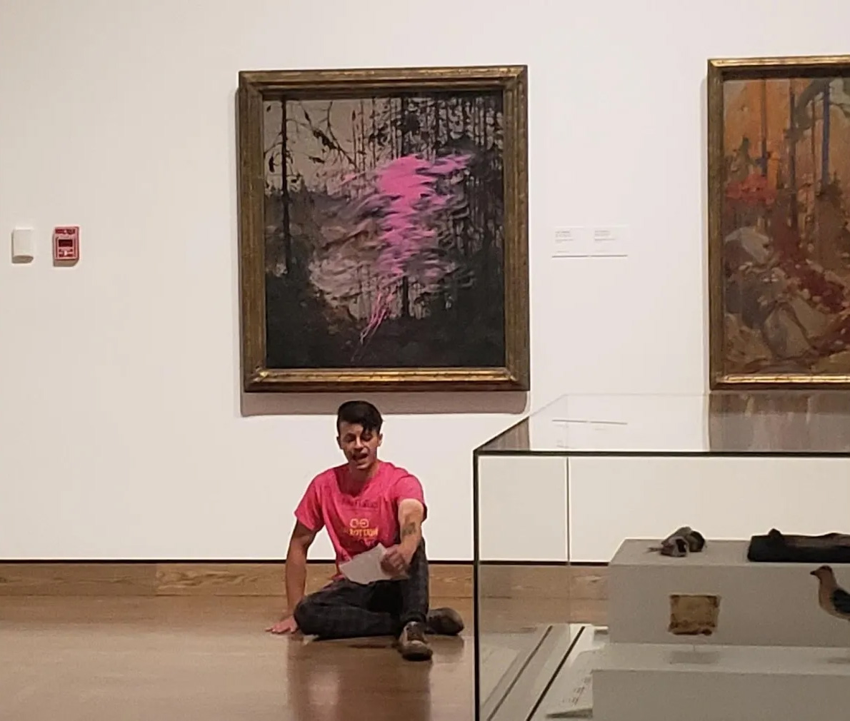 Climate Protestor Smears Pink Paint on Tom Thomson Painting at National Gallery of Canada