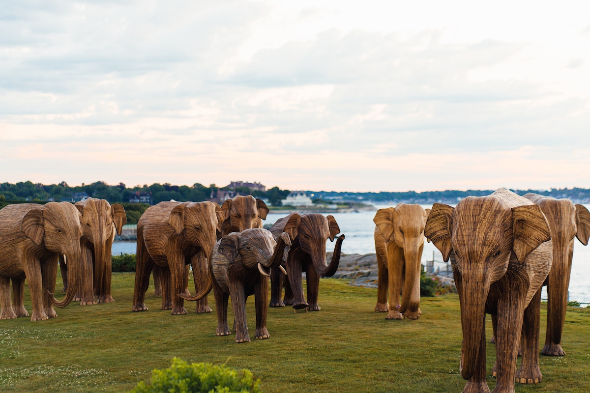 100 Life-Sized Elephant Sculptures Are Embarking on a Journey Across the U.S.