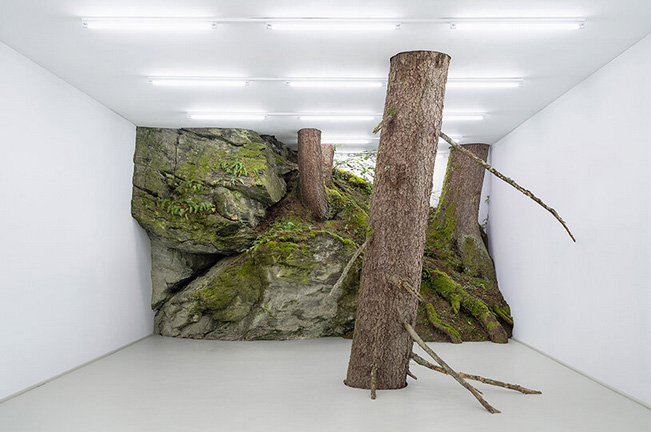 Fabian knecht installation isolates austria`s wild nature within a white cube