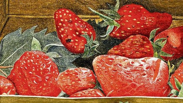 توت‌فرنگی‌های «فروید» حراج می‌شود