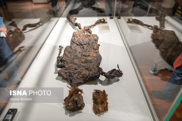 مومیایی هلندی و ونگوگ از موزه ملی خداحافظی می‌کنند
