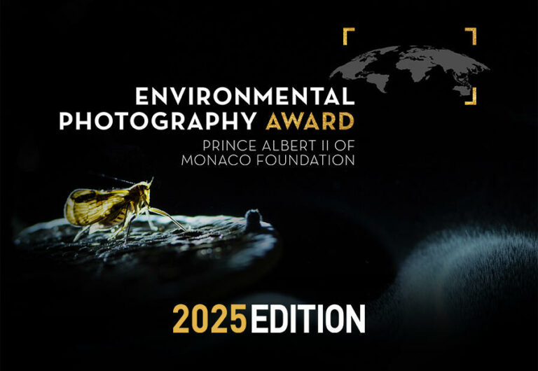 Environmental Photography Award 2025