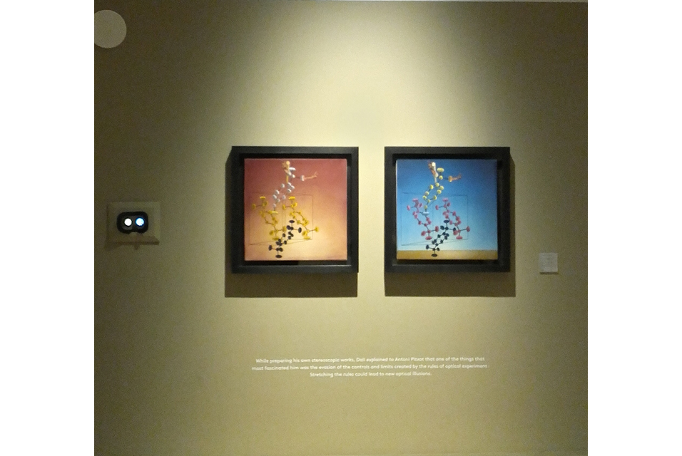 موزه دالی آثار برجسته سالوادور دالی را به نمایش گذاشت