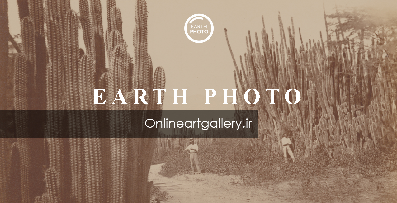 فراخوان مسابقه بین المللی عکاسی " عکس زمین"