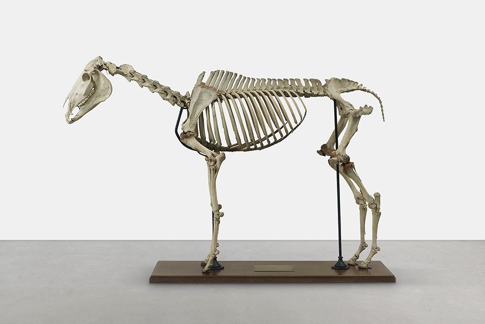 Exhibition focuses on a significant period in George Stubbs career