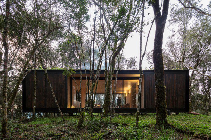 MAPA drops minimal dwelling within lush brazilian forest