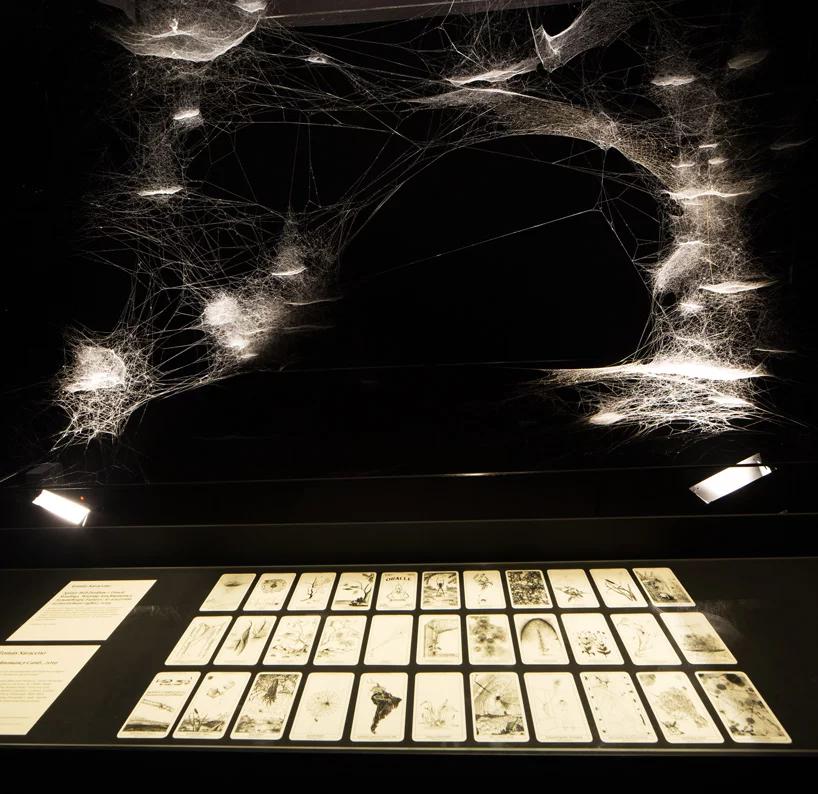 تارهای عنکبوت هنرمند آرژانتینی در دوسالانه هنر ونیز