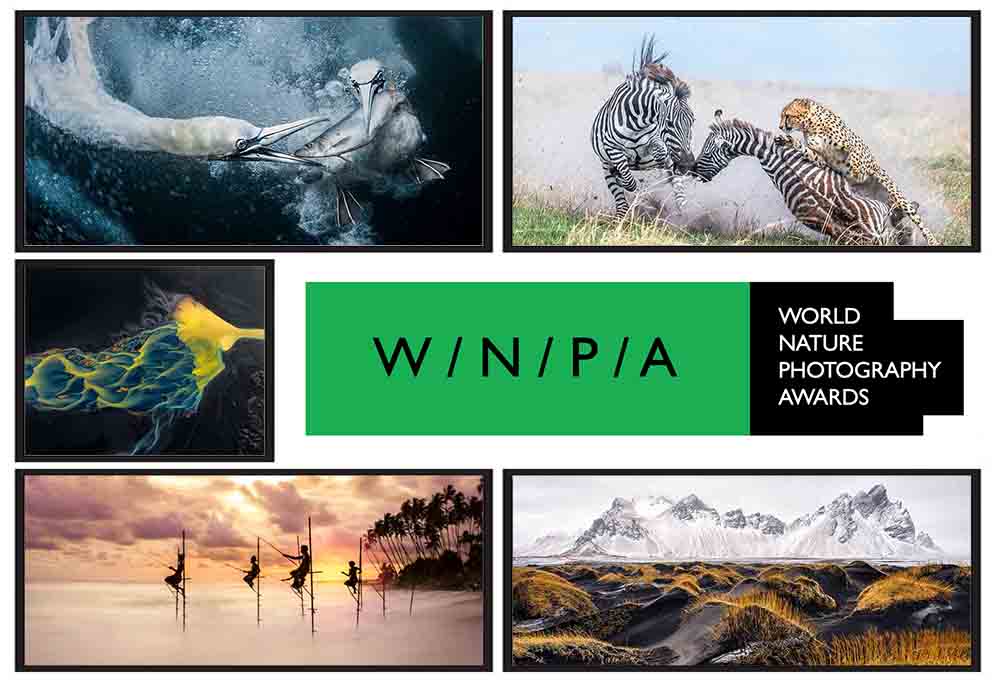 World Nature Photography Awards (WNPA) 2025